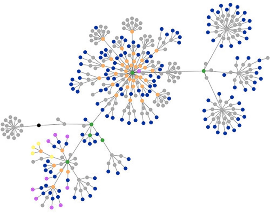 seo onpage enlazado interno